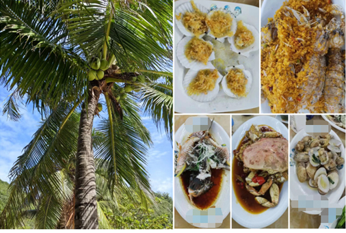 2022��11��19��--23�� ����֮��