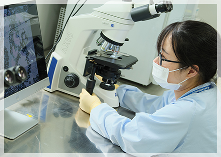 Ʊ������